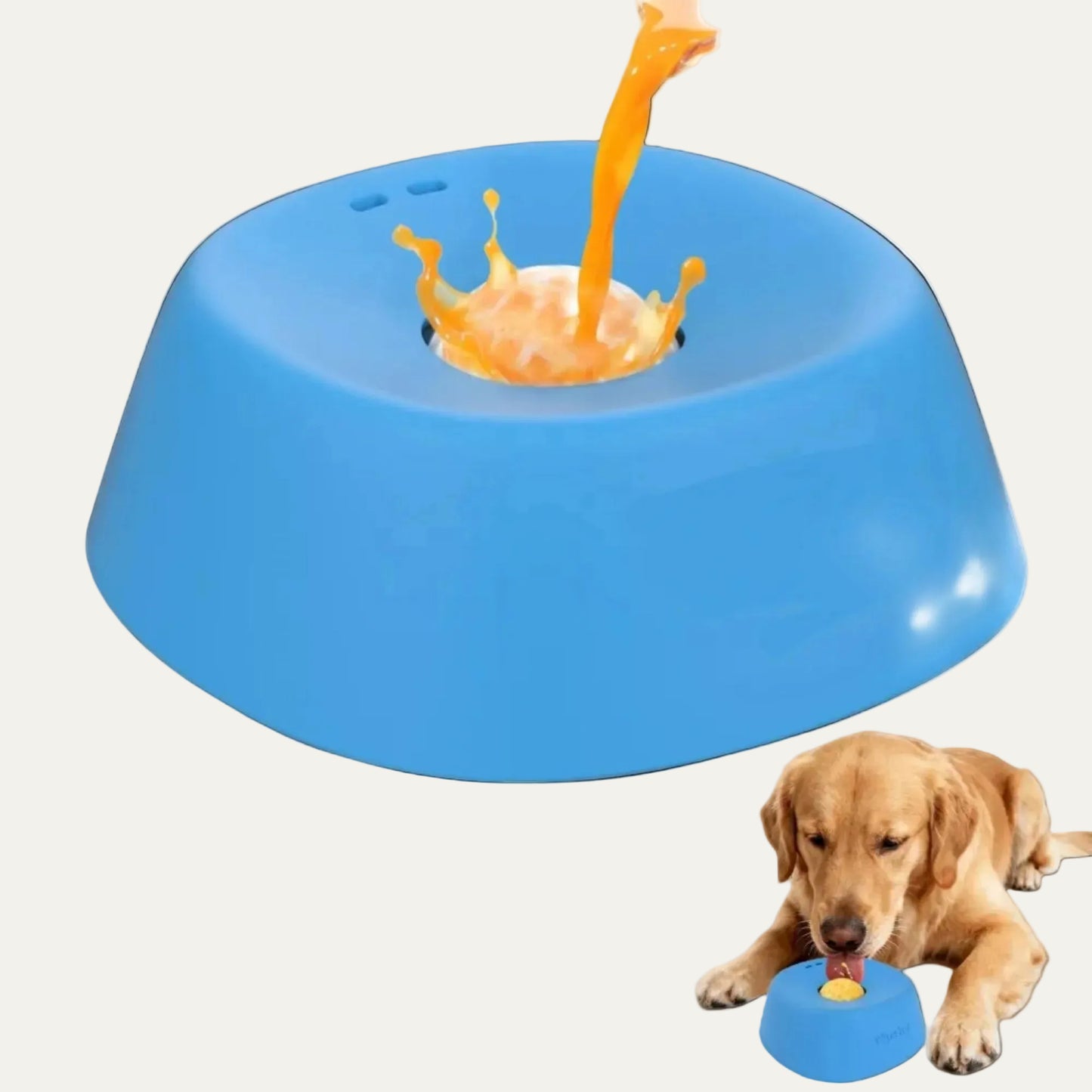 SlowFeast™ Anti-Choking Dog Lick Bowl